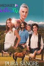 Чистая кровь